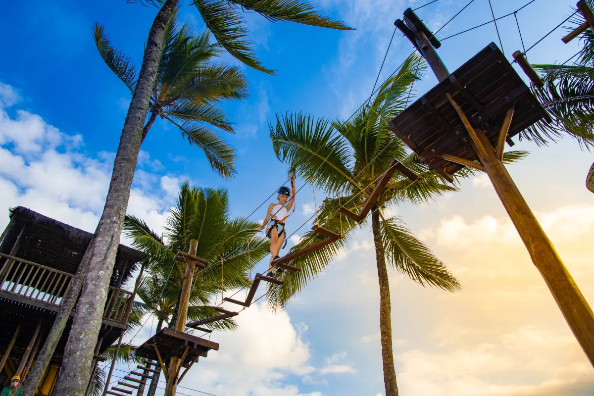 Programação e laser