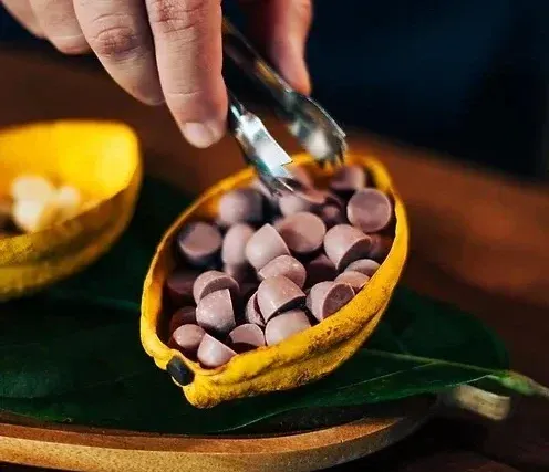 Imagem Chocolate de Cacau