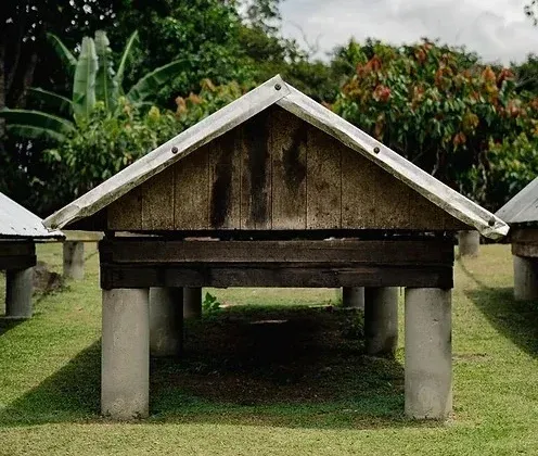 Imagem Fazenda de Cacau passeio