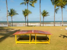Ver mais: Cana Brava Resort amplia programação com novas experiências para hóspedes