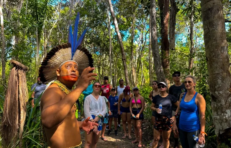 Imagem sobre Caminhada Ecologica